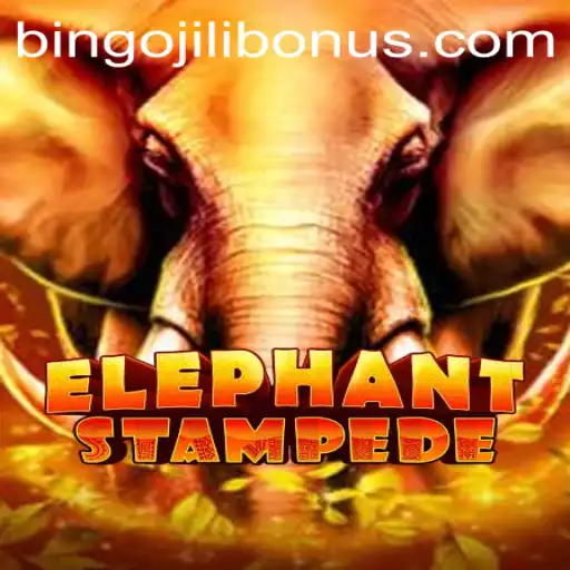 Understanding ElephantStampede and the Bingojili Bonus